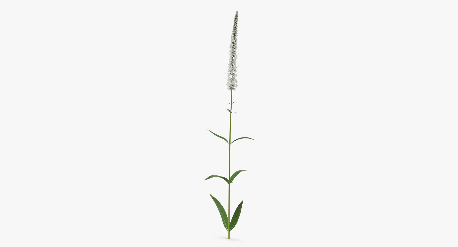 summer garden 33 products model https://p.turbosquid.com/ts-thumb/Fg/4p3nHJ/vH8Y8WhR/0000/jpg/1566206435/1920x1080/turn_fit_q99/ab1e3c16b8e6acb68e9e769c3121bd989d7be9ea/0000-1.jpg