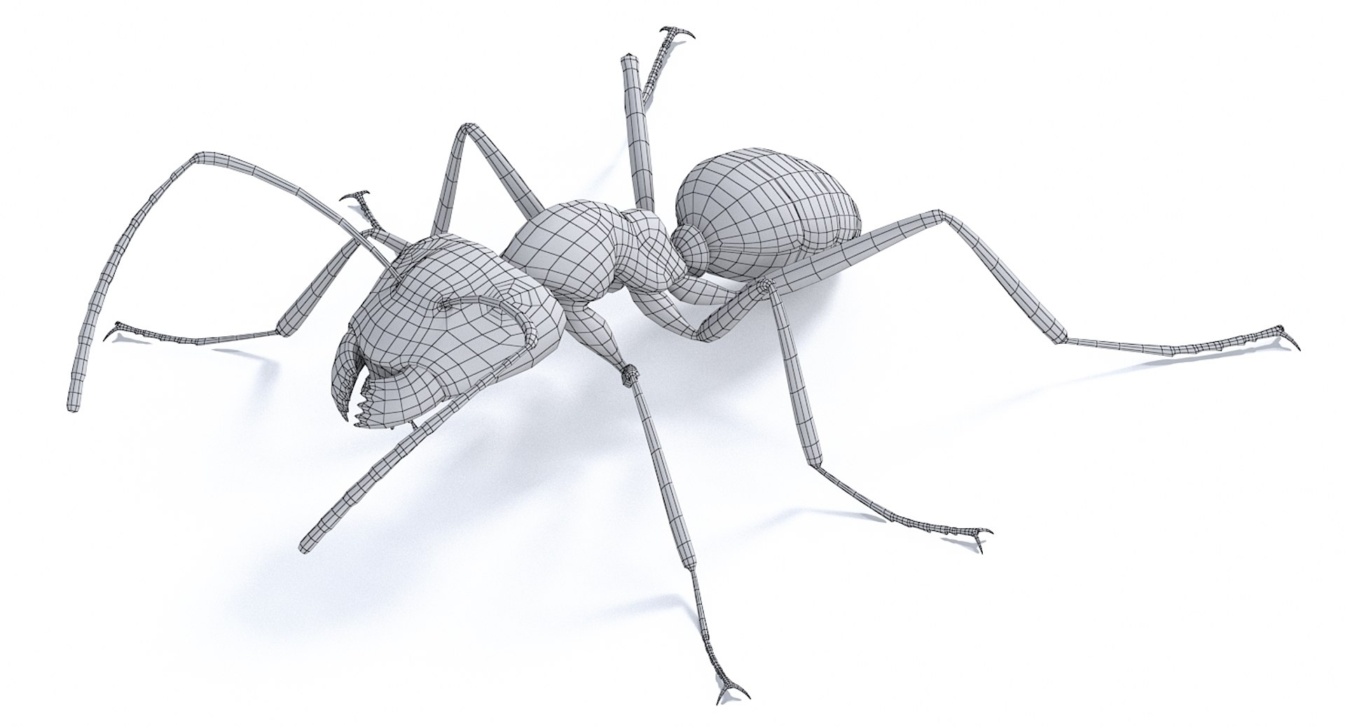 realistic black ant real model https://p.turbosquid.com/ts-thumb/Fg/4tLkoG/X3DidxUq/antblack_21/jpg/1540188424/1920x1080/fit_q87/f67c125357a0c1542aab17045800c0da6f0738e3/antblack_21.jpg