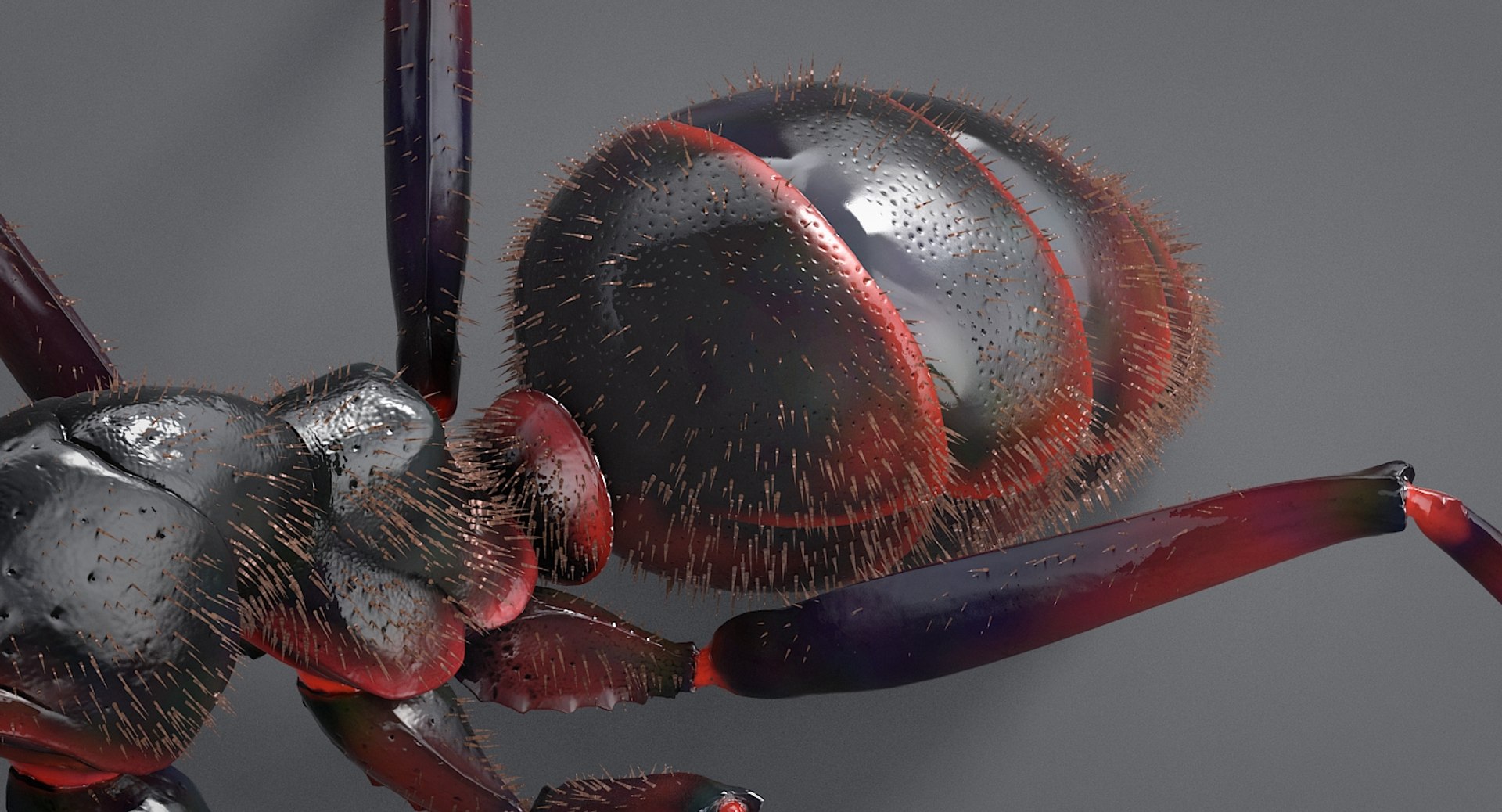 realistic black ant real model https://p.turbosquid.com/ts-thumb/Fg/4tLkoG/g9qx84R3/antblack_09/jpg/1540188378/1920x1080/fit_q87/76d8b50e423ef3f0c1dbc169e6f8fcb8954c745a/antblack_09.jpg