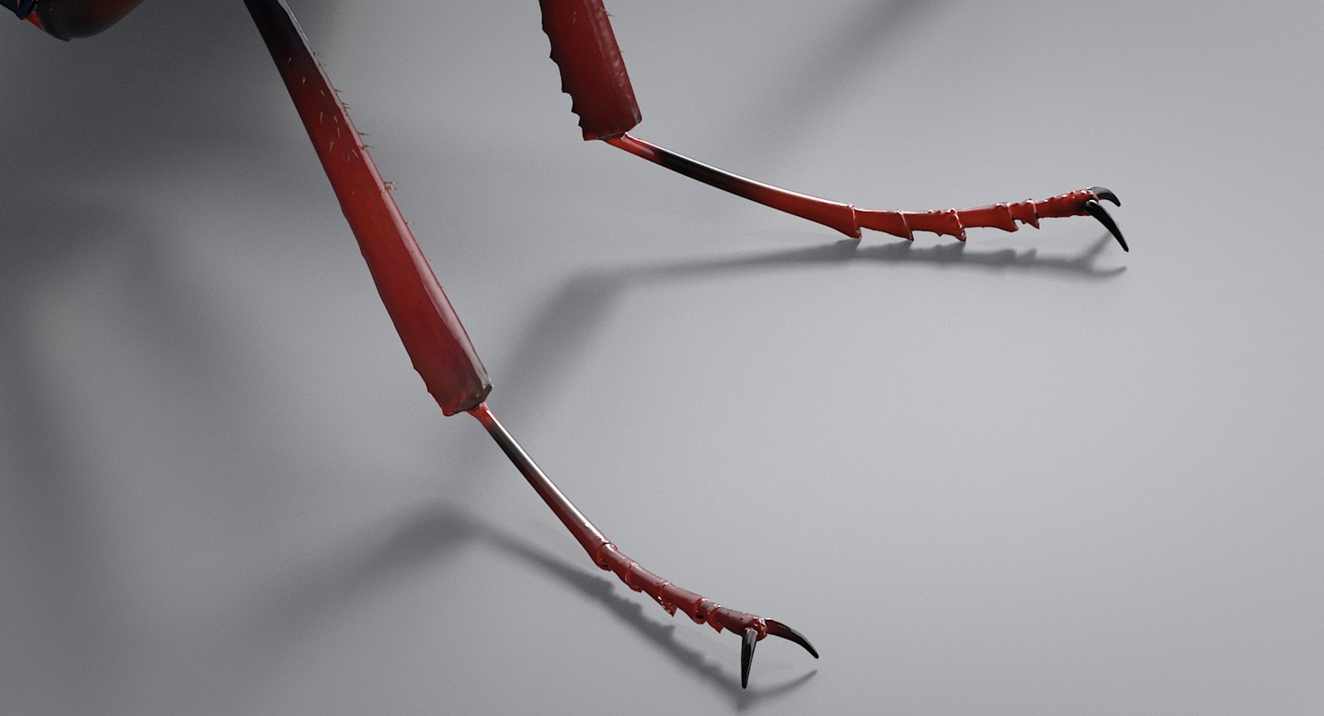 realistic black ant real model https://p.turbosquid.com/ts-thumb/Fg/4tLkoG/i0v6vMJb/antblack_10/jpg/1540188378/1920x1080/fit_q87/a70dd4397b9a44095f875d09ca195fda04e4e8d2/antblack_10.jpg