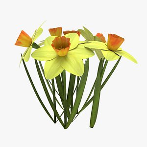 daffodil flower 3D model