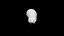 Eggplant 3D CT scan model decimate 05 percent
