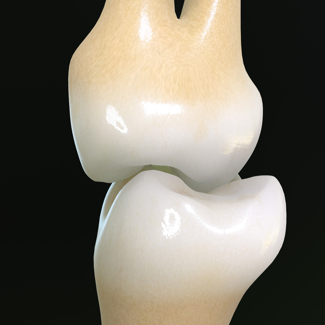 teeth molars 3d max https://p.turbosquid.com/ts-thumb/Fg/Fgg7bC/w1BmxlG0/smb/jpg/1364253239/1920x1080/turn_fit_q99/c85f651c4ebfbeead0d762e87d0c02aec5831fc3/smb-1.jpg