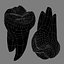 Second Molars
