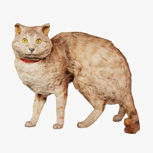 Cat Remastered model