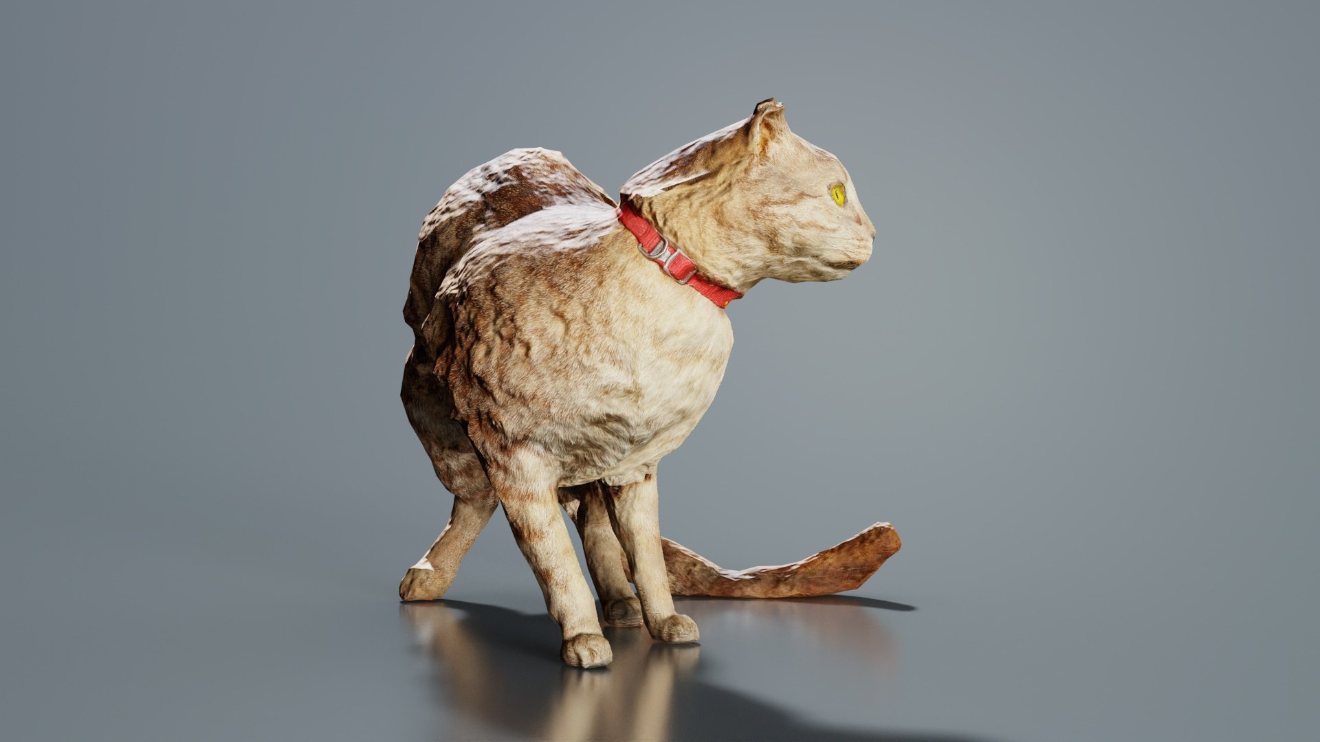 Cat Remastered Model - TurboSquid 2359795
