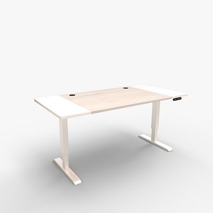 Height Adjustable Standing Desk