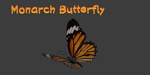 Monarch Butterfly Borboleta Monarca model