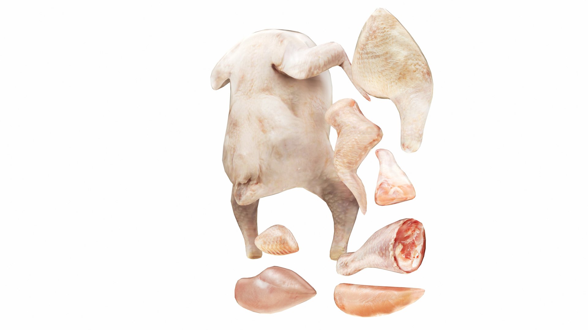 Fresh Chicken Cuts 8 in 1 3D model https://p.turbosquid.com/ts-thumb/Fg/WNftTI/C2/freshchickencuts6/jpg/1744269849/1920x1080/fit_q87/f8873f3f87f93a229d45535897fa93dbb17a10ec/freshchickencuts6.jpg