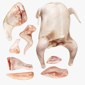 Fresh Chicken Cuts 8 in 1 3D model