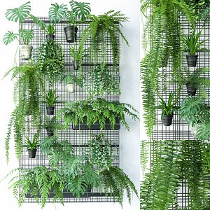 Wall Plant 3