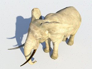 elephant 3D