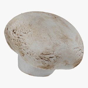 3D white button mushroom 01