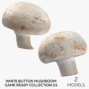 White Button Mushroom Game Ready Collection 03 - 2 models 3D model
