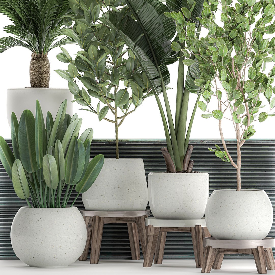 3D decorative plants interior white https://p.turbosquid.com/ts-thumb/Fh/KxcqCR/KNzrJIoA/plant0707202001/jpg/1594209039/1920x1080/fit_q87/501b925af89af54da4982d2147ba50564e3982a8/plant0707202001.jpg