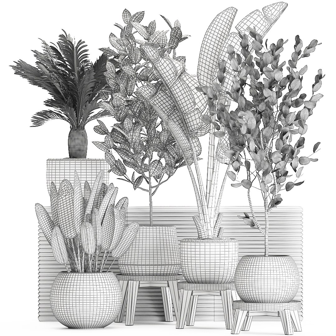 3D decorative plants interior white https://p.turbosquid.com/ts-thumb/Fh/KxcqCR/WmDZ2cOf/plant0707202009/jpg/1594209039/1920x1080/fit_q87/e4b62a2be8157c68a85b008820735a9de08868c9/plant0707202009.jpg
