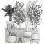 Decorative plants for the interior in white flowerpots 626