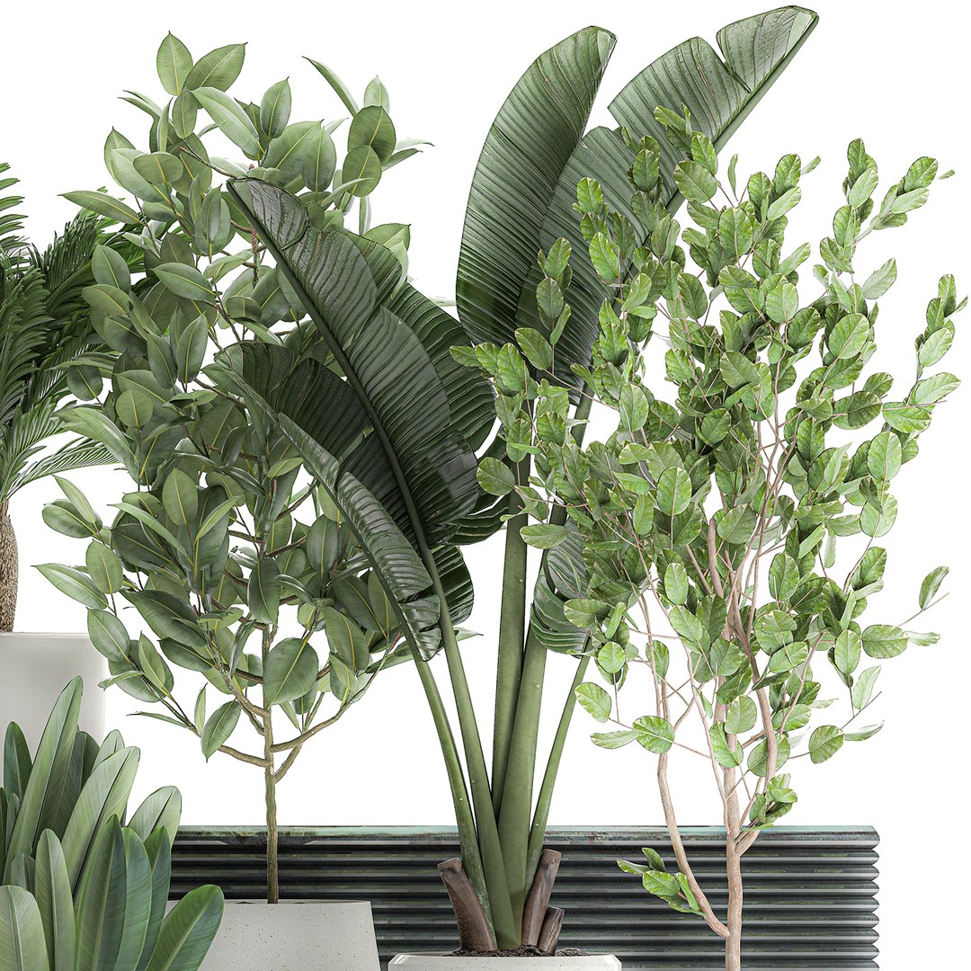 3D decorative plants interior white https://p.turbosquid.com/ts-thumb/Fh/KxcqCR/XJ1ZYTx3/plant0707202003/jpg/1594209039/1920x1080/fit_q87/8bec3ae27c04d2550edf044bf51638193d68a741/plant0707202003.jpg