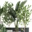 Decorative plants for the interior in white flowerpots 626