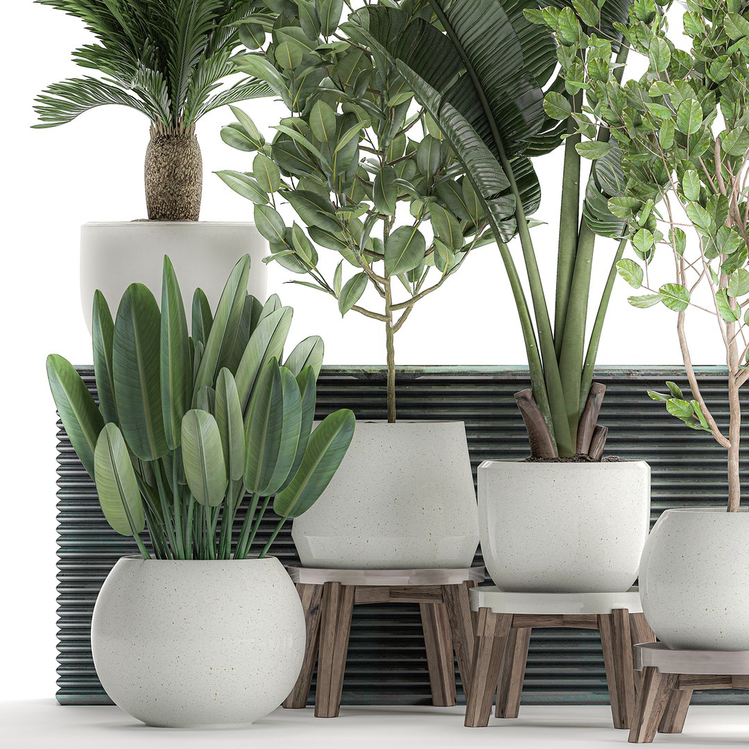 3D decorative plants interior white https://p.turbosquid.com/ts-thumb/Fh/KxcqCR/efUm8FYt/plant0707202004/jpg/1594209039/1920x1080/fit_q87/9ae5fcaed054f9307e6f12b0a37c9e1bbca65e78/plant0707202004.jpg