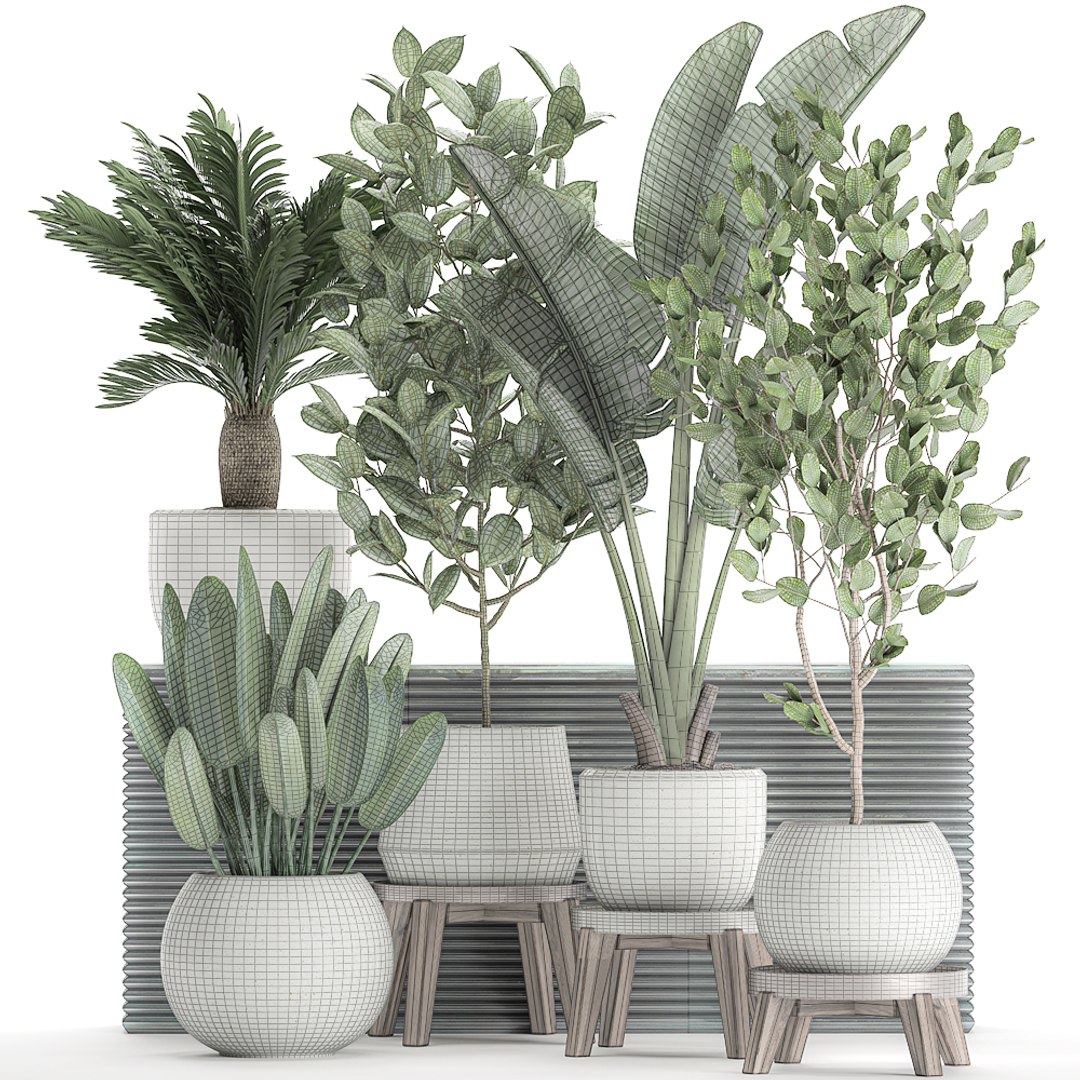 3D Decorative Plants Interior White - TurboSquid 1588142