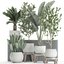 Decorative plants for the interior in white flowerpots 626