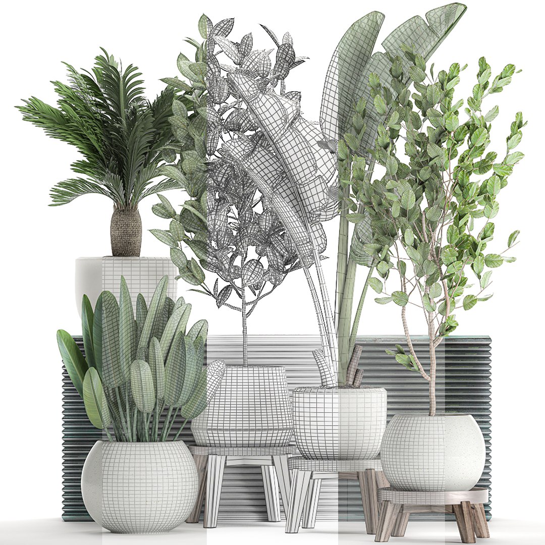 3D decorative plants interior white https://p.turbosquid.com/ts-thumb/Fh/KxcqCR/liUeC2Wb/plant0707202007/jpg/1594209039/1920x1080/fit_q87/beb89a7893c04a9e37e7918460a76e920b7ad66b/plant0707202007.jpg