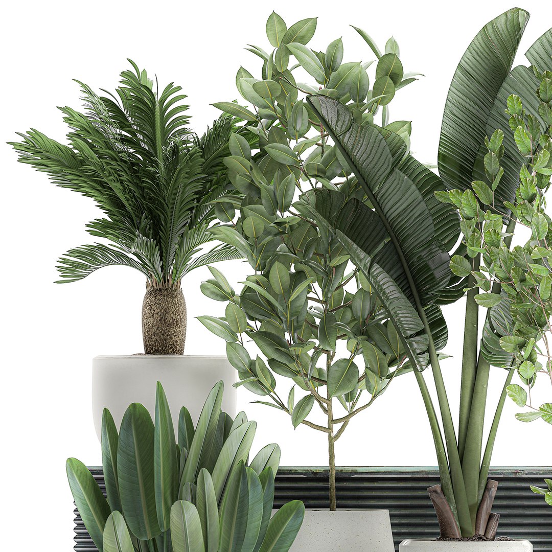 3D decorative plants interior white https://p.turbosquid.com/ts-thumb/Fh/KxcqCR/oaqvOtUM/plant0707202002/jpg/1594209039/1920x1080/fit_q87/8a9fc56e74c65b41ee0dba38f32771778c459828/plant0707202002.jpg