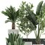 Decorative plants for the interior in white flowerpots 626