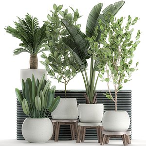 3D decorative plants interior white