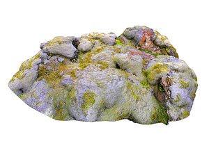 3D moss rock model
