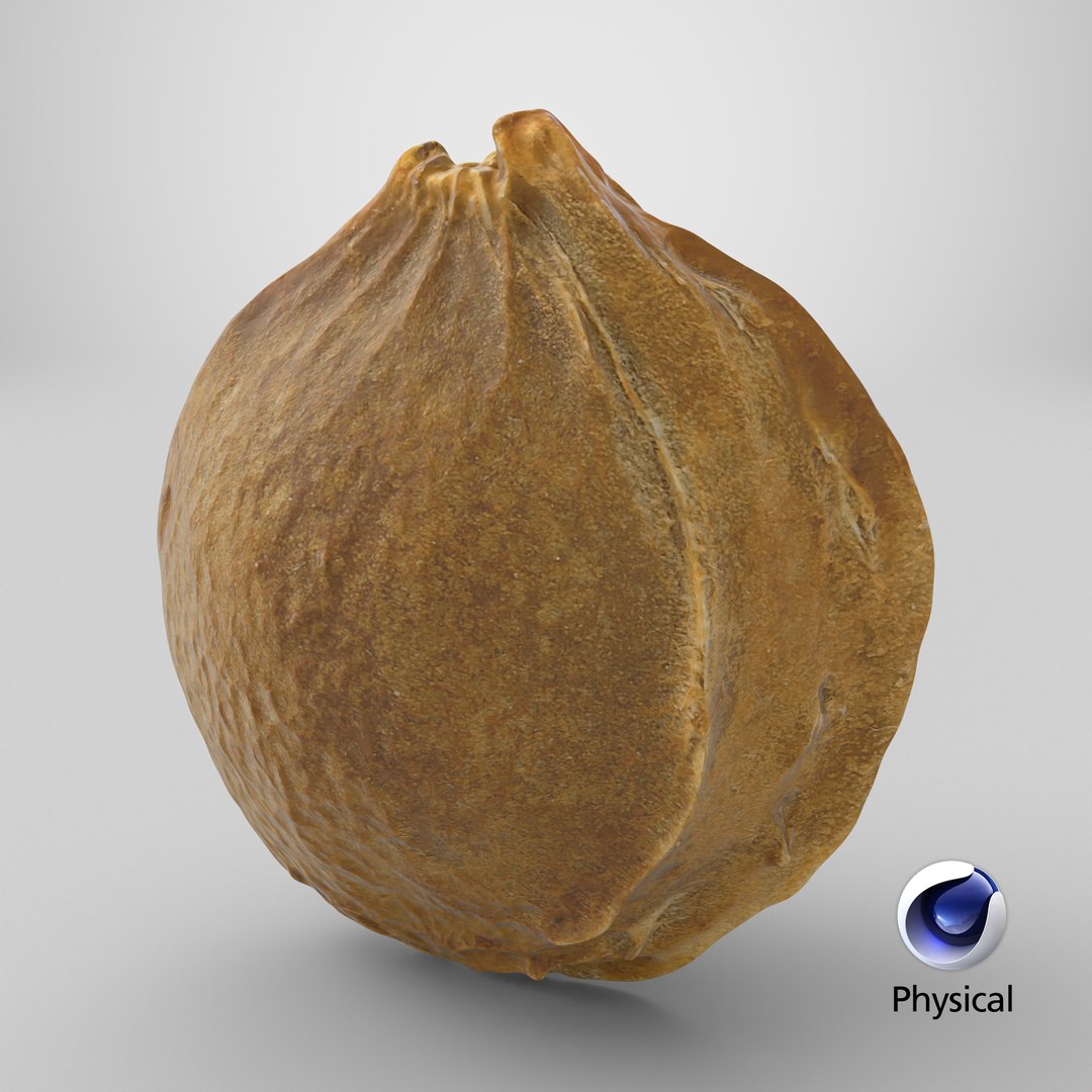 Apricot Kernel - 3D Scanned 3D model https://p.turbosquid.com/ts-thumb/Fh/QJt6BV/37/stemcell_cinema_4d_physical_render/png/1784734395/1920x1080/fit_q87/eceadc56531b5d566e49a2de9bd405437e2a3544/stemcell_cinema_4d_physical_render.jpg