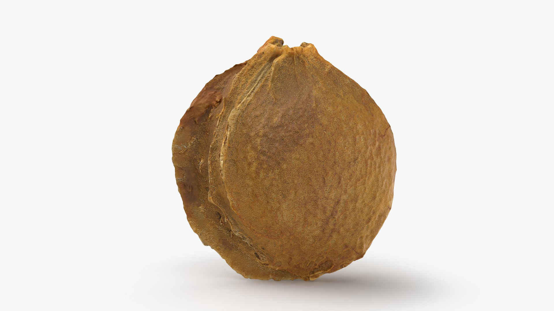Apricot Kernel - 3D Scanned 3D model https://p.turbosquid.com/ts-thumb/Fh/QJt6BV/5H/apricotseed_0008/png/1784636571/1920x1080/fit_q87/e360f2cdb2d6ee4f0b25c0fb1ff676381a18e158/apricotseed_0008.jpg