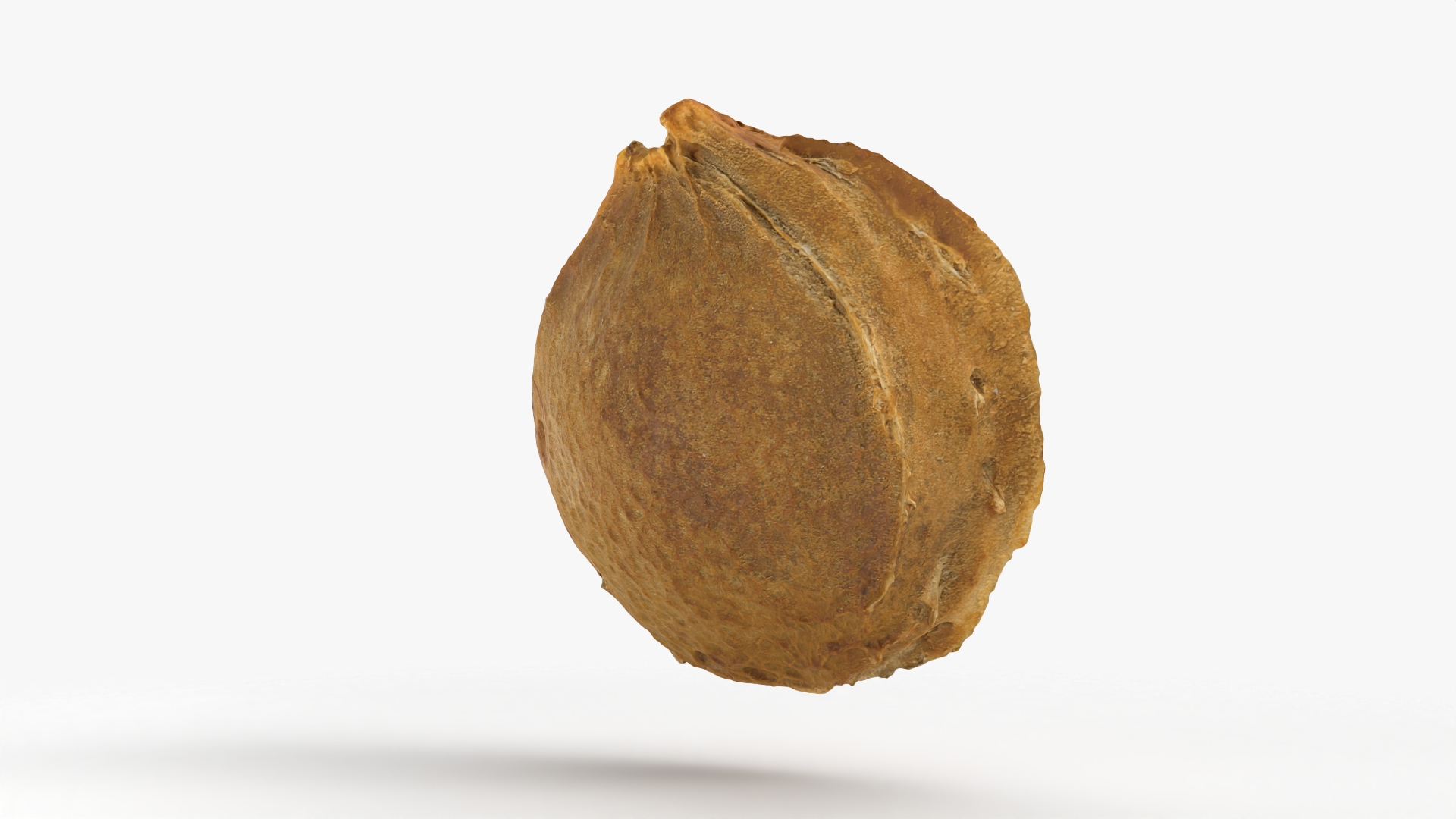 Apricot Kernel - 3D Scanned 3D model https://p.turbosquid.com/ts-thumb/Fh/QJt6BV/5M/apricotseed/png/1784729164/1920x1080/turn_fit_q99/720d99fe64392f62e00843319d3621dff42c863c/apricotseed-1.jpg