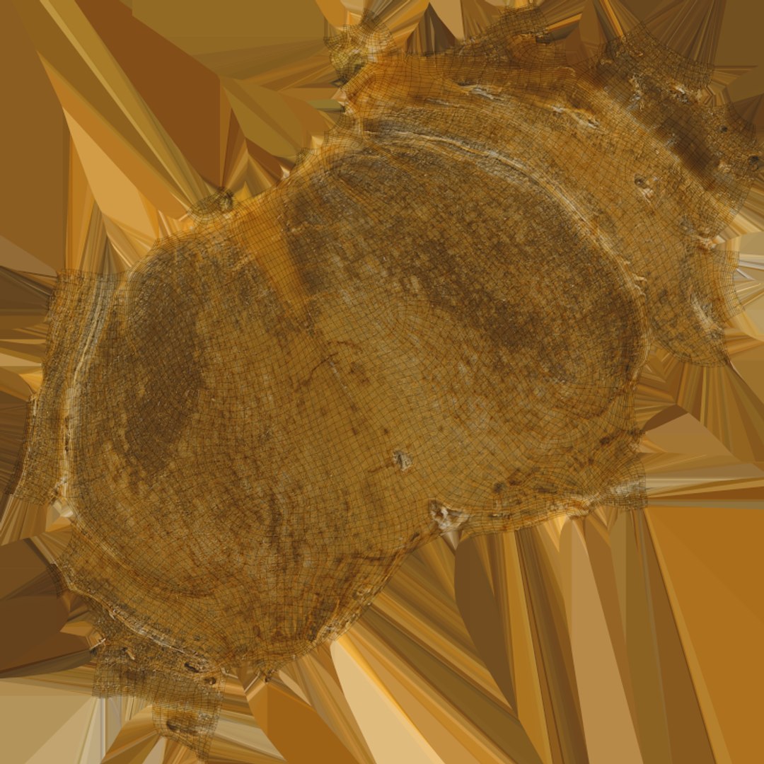 Apricot Kernel - 3D Scanned 3D model https://p.turbosquid.com/ts-thumb/Fh/QJt6BV/Kl/apricotseed_e0004/png/1784636574/1920x1080/fit_q87/4c07c36660663b79ce0c1b787cba9b981037f745/apricotseed_e0004.jpg