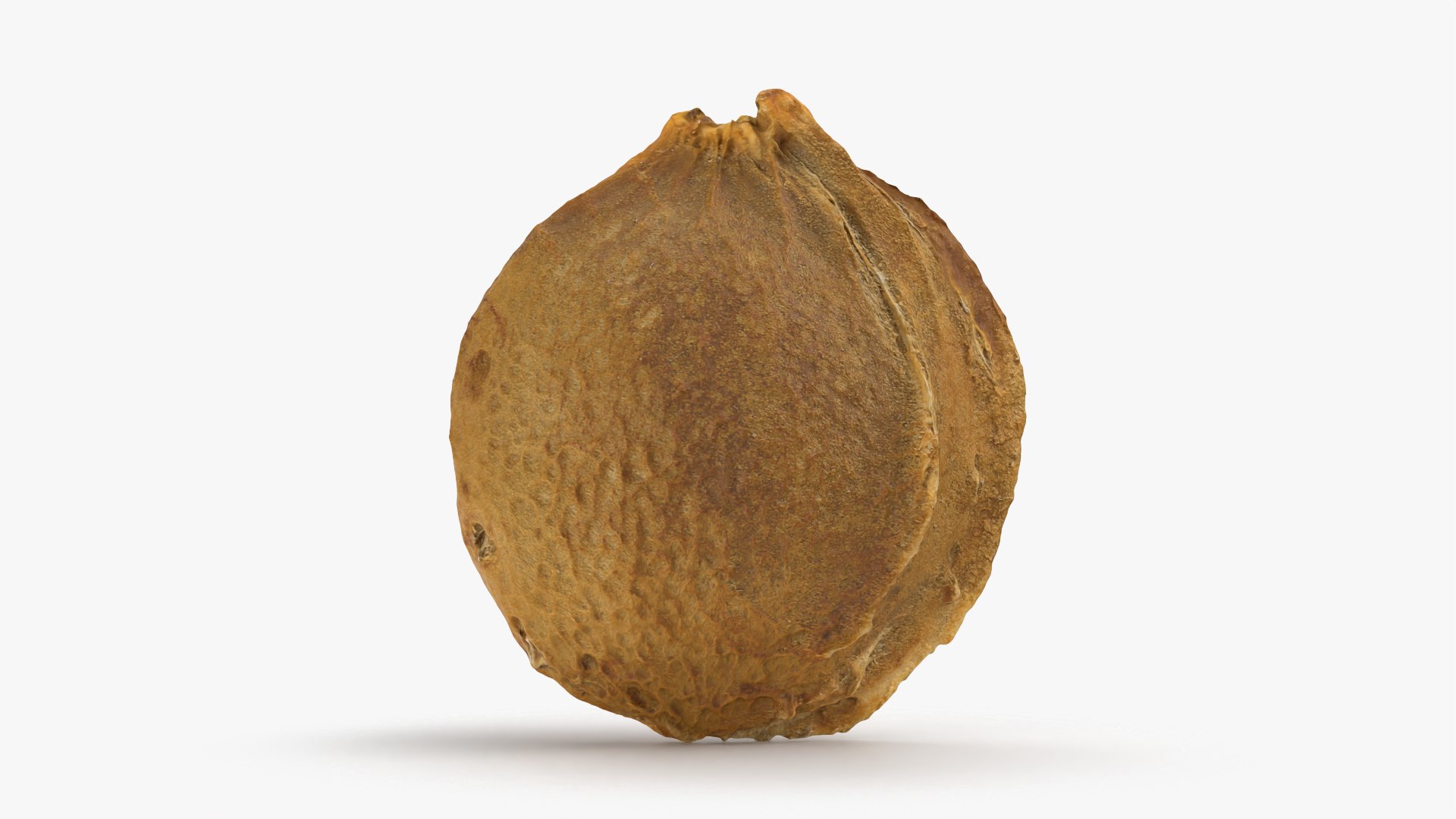 Apricot Collection 3D model https://p.turbosquid.com/ts-thumb/Fh/QJt6BV/Ng/apricotseed_0001/png/1790448610/1920x1080/fit_q87/073c86dbd8fb4931e9b69196b4e6a0f72d8276ce/apricotseed_0001.jpg