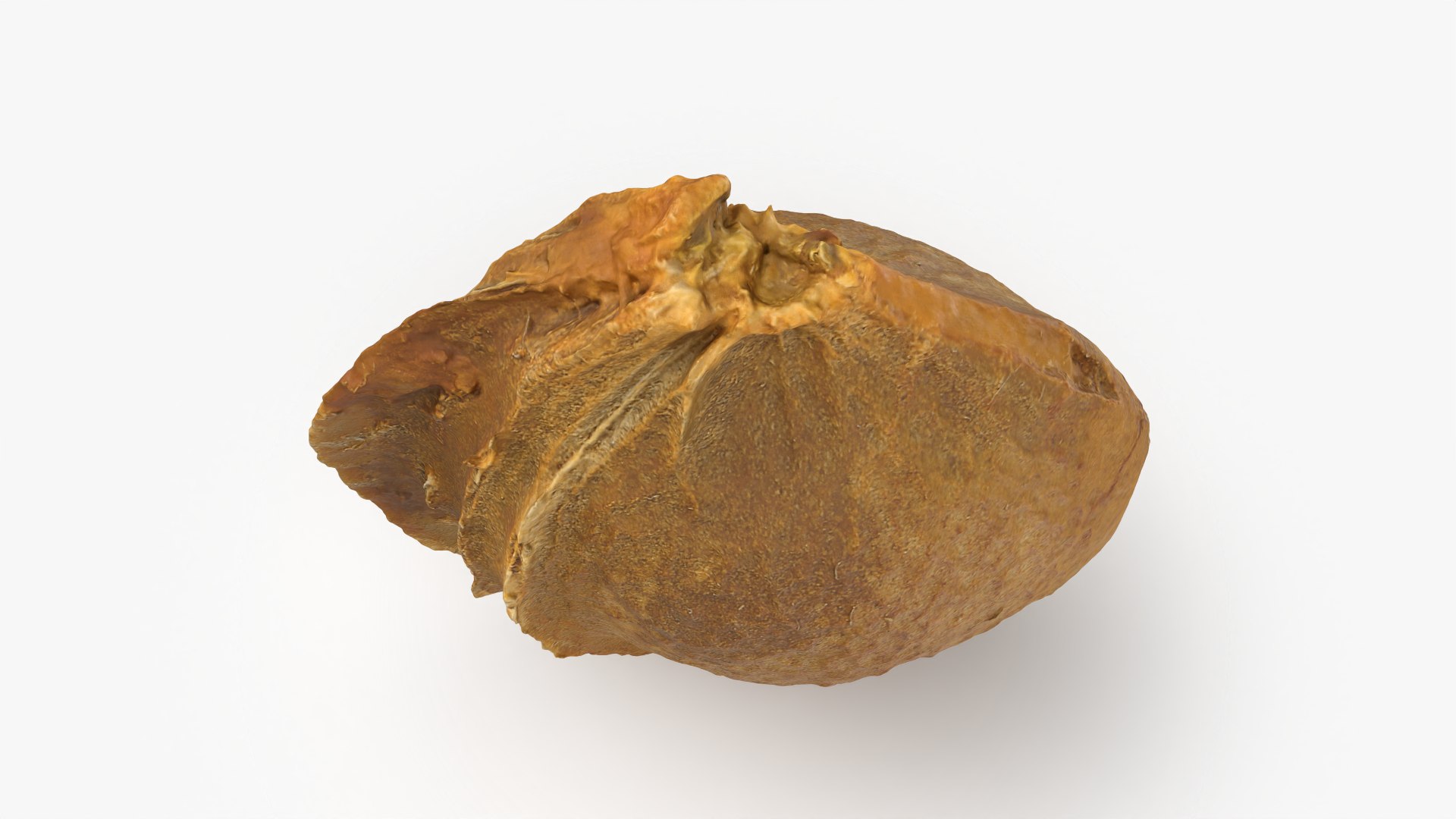 Apricot Kernel - 3D Scanned 3D model https://p.turbosquid.com/ts-thumb/Fh/QJt6BV/TH/apricotseed_0007/png/1784636566/1920x1080/fit_q87/25e4a3d8e0bf35f67ffc9f2044007e859dd1c380/apricotseed_0007.jpg