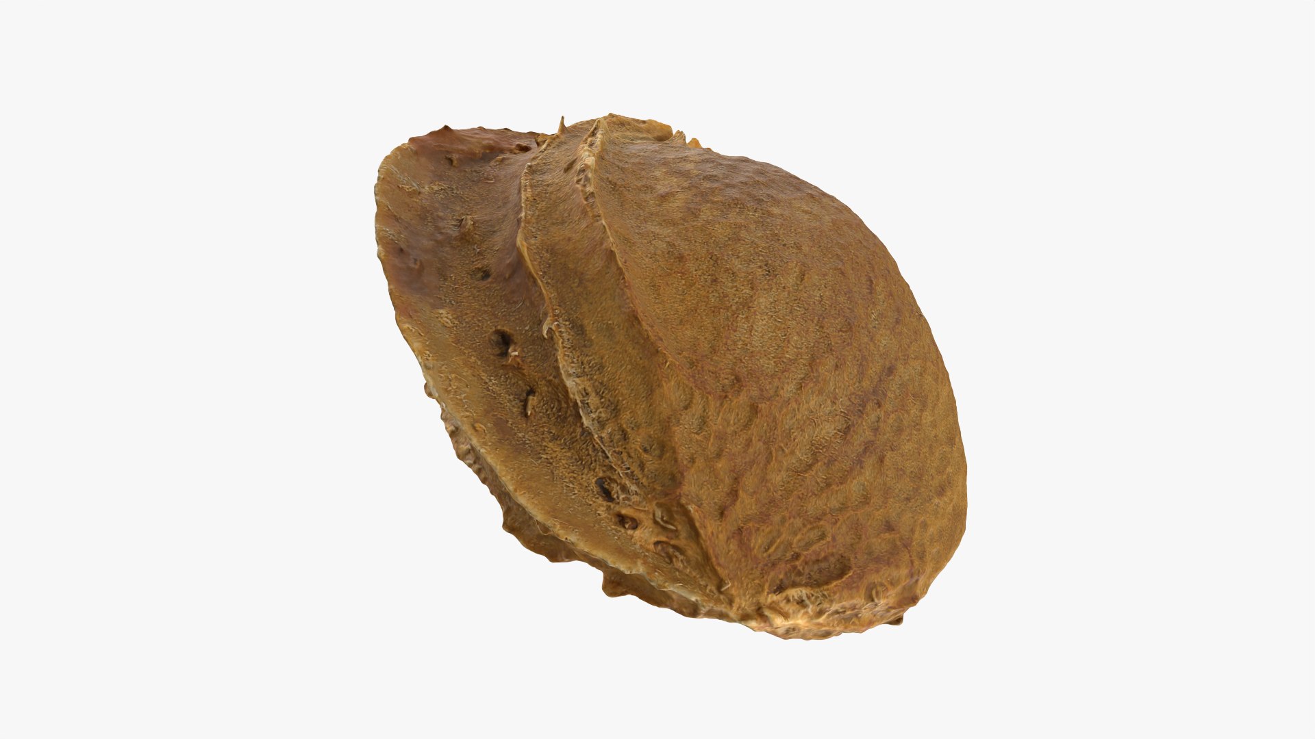 Apricot Kernel - 3D Scanned 3D model https://p.turbosquid.com/ts-thumb/Fh/QJt6BV/md/apricotseed_0009/png/1784636570/1920x1080/fit_q87/6e3465899b7d322013304ccf6b0218b60cd3385f/apricotseed_0009.jpg