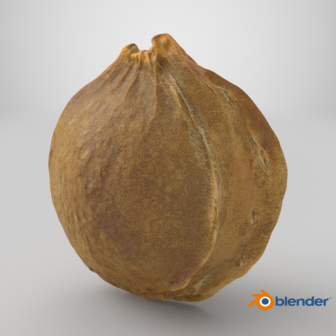 Apricot Kernel - 3D Scanned 3D model https://p.turbosquid.com/ts-thumb/Fh/QJt6BV/oO/stemcell_blender_cycles_render/png/1784734387/1920x1080/fit_q87/6aa1a7df59aa5ae2c06cd8f5772782f2a8864238/stemcell_blender_cycles_render.jpg