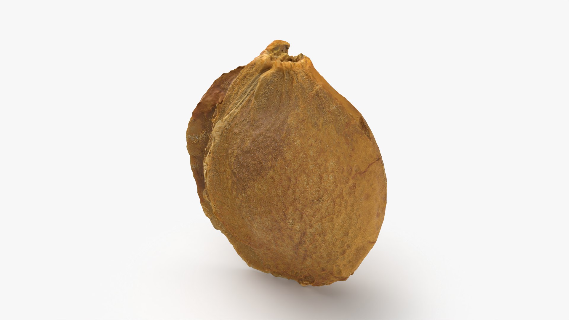 Apricot Kernel - 3D Scanned 3D model https://p.turbosquid.com/ts-thumb/Fh/QJt6BV/r7/apricotseed_0002/png/1784636557/1920x1080/fit_q87/afd31eb1cf5c3875ab042bb2f57825bec3fc196e/apricotseed_0002.jpg