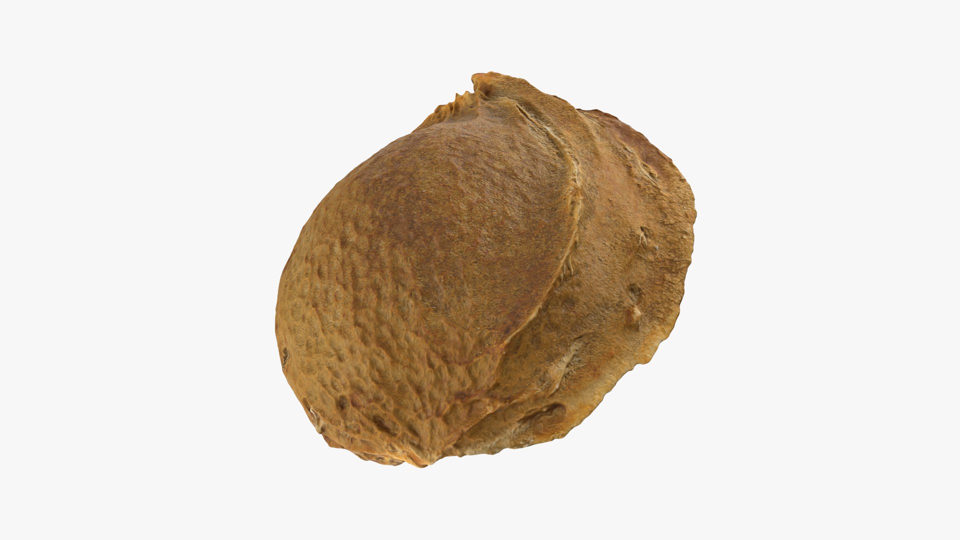 Apricot Kernel - 3D Scanned 3D model https://p.turbosquid.com/ts-thumb/Fh/QJt6BV/rZ/apricotseed_0010/png/1784636574/1920x1080/fit_q87/126bbe83f8832096ffc40b3f2c0e3e8e90adc5d1/apricotseed_0010.jpg