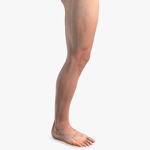 Realistic Asian Male Leg