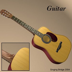 Guitar