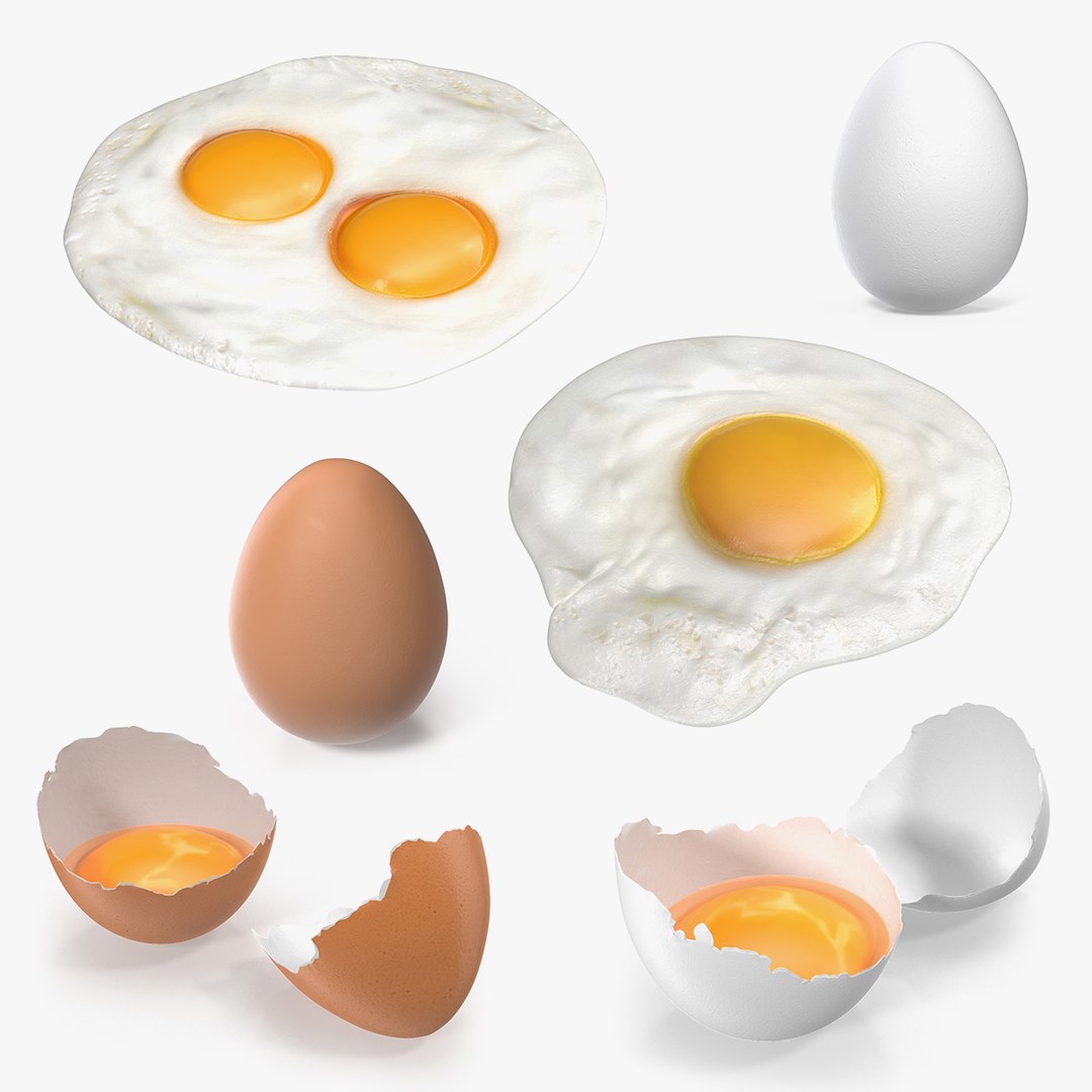 Chicken Eggs 3D Models Collection 2 3D model preview
