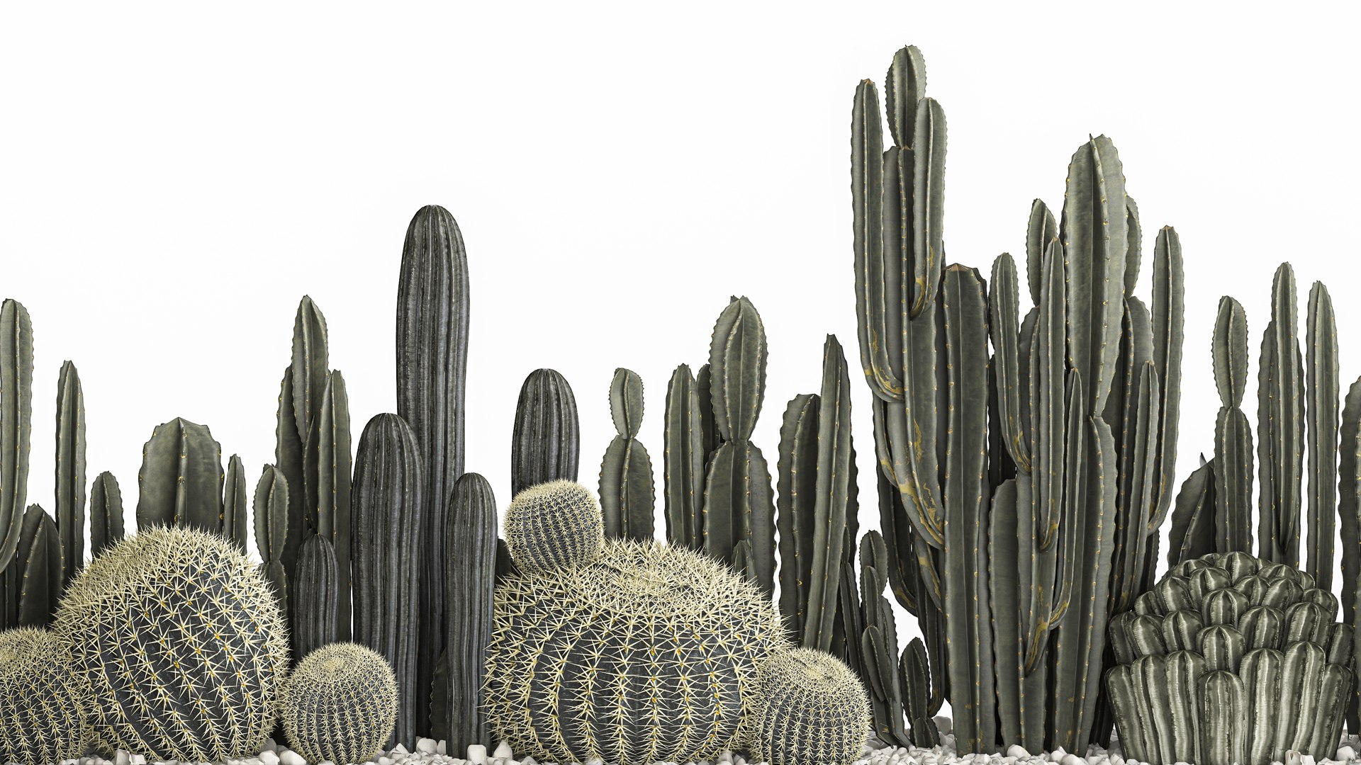 Cactus set in a concrete flowerpot for the interior 1102 3D https://p.turbosquid.com/ts-thumb/Fh/Z81rXB/2D/1cactusset1601202204/jpg/1642429453/1920x1080/fit_q87/689f7a954406801e6b589a6314d83b42f11bbeba/1cactusset1601202204.jpg