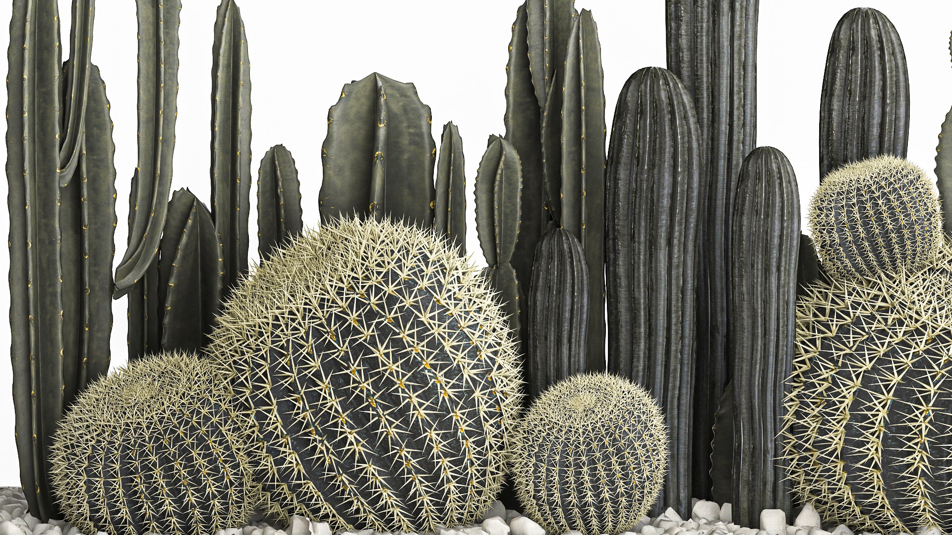 Cactus set in a concrete flowerpot for the interior 1102 3D https://p.turbosquid.com/ts-thumb/Fh/Z81rXB/DQ/1cactusset1601202207/jpg/1642429456/1920x1080/fit_q87/ccf2c1a79aaba31c0c42bcabfd7286c178e54361/1cactusset1601202207.jpg