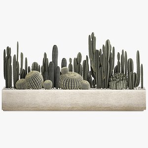 Cactus set in a concrete flowerpot for the interior 1102 3D