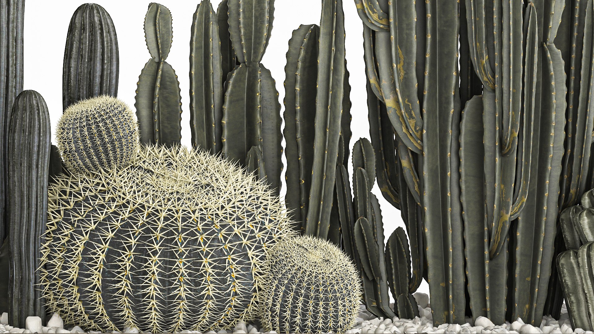 Cactus set in a concrete flowerpot for the interior 1102 3D https://p.turbosquid.com/ts-thumb/Fh/Z81rXB/Hs/1cactusset1601202206/jpg/1642429452/1920x1080/fit_q87/78ccf2cff72758e0470851d543e7416497c28c07/1cactusset1601202206.jpg