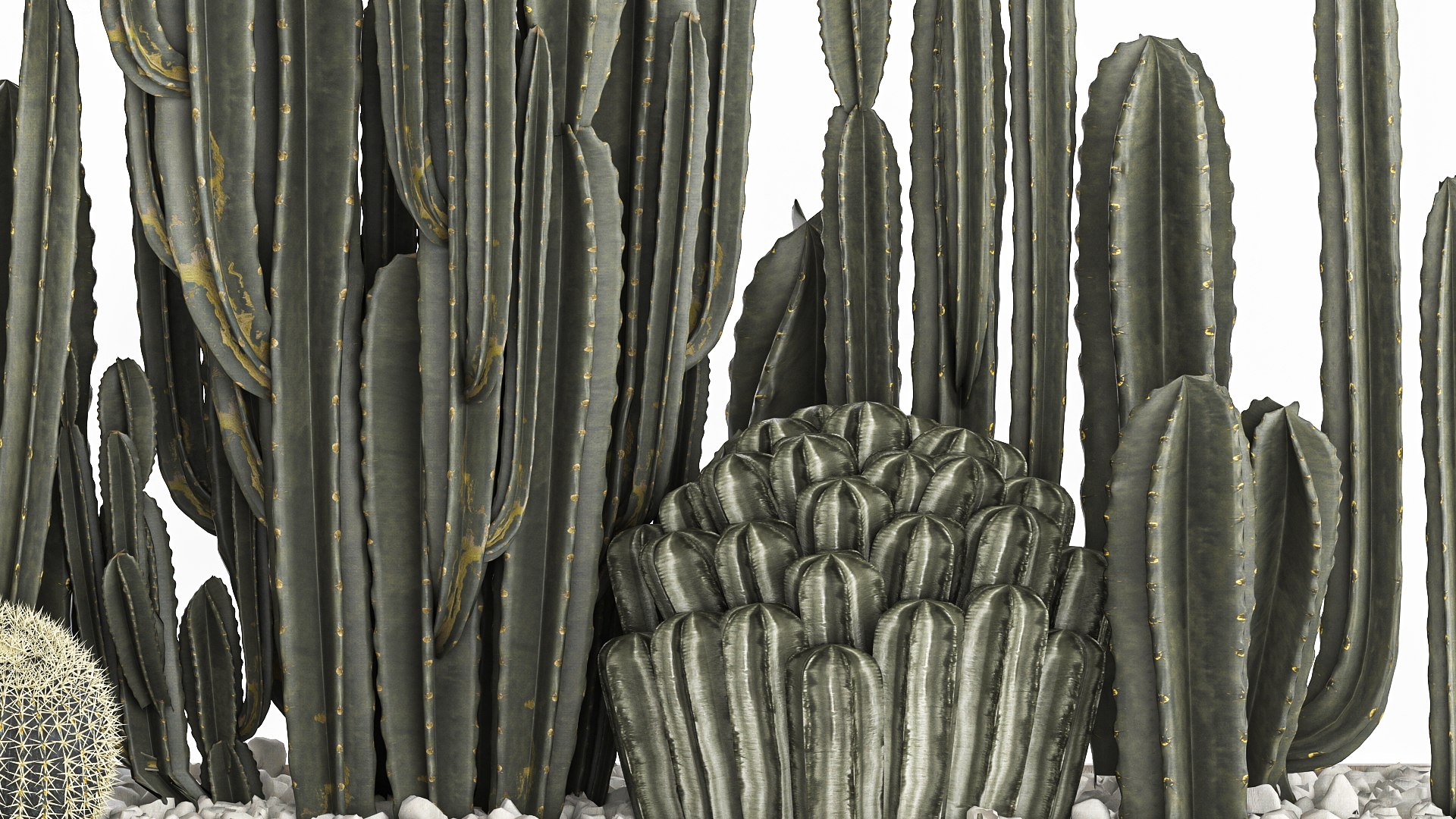 Cactus set in a concrete flowerpot for the interior 1102 3D https://p.turbosquid.com/ts-thumb/Fh/Z81rXB/w2/1cactusset1601202205/jpg/1642429456/1920x1080/fit_q87/c5f71cce6cf47ba9869b4fc1c01db3d159c0524c/1cactusset1601202205.jpg