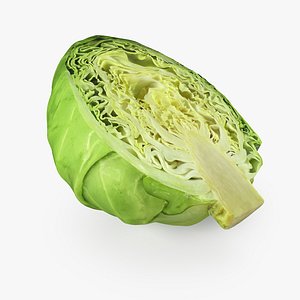 cabbage half 3D model